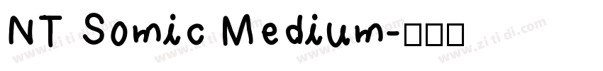 NT Somic Medium字体转换